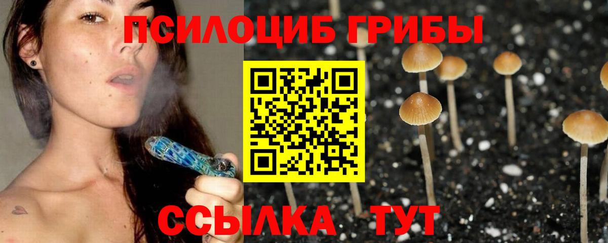 Галлюциногенные грибы MAGIC MUSHROOMS  сколько стоит  Вход с VPN  Стерлитамак  Галлюциногенные грибы Cubensis 